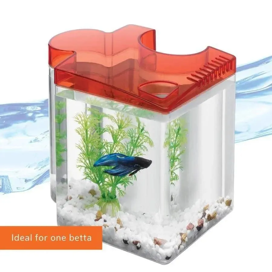 Aqueon Betta Puzzle Aquarium Kits