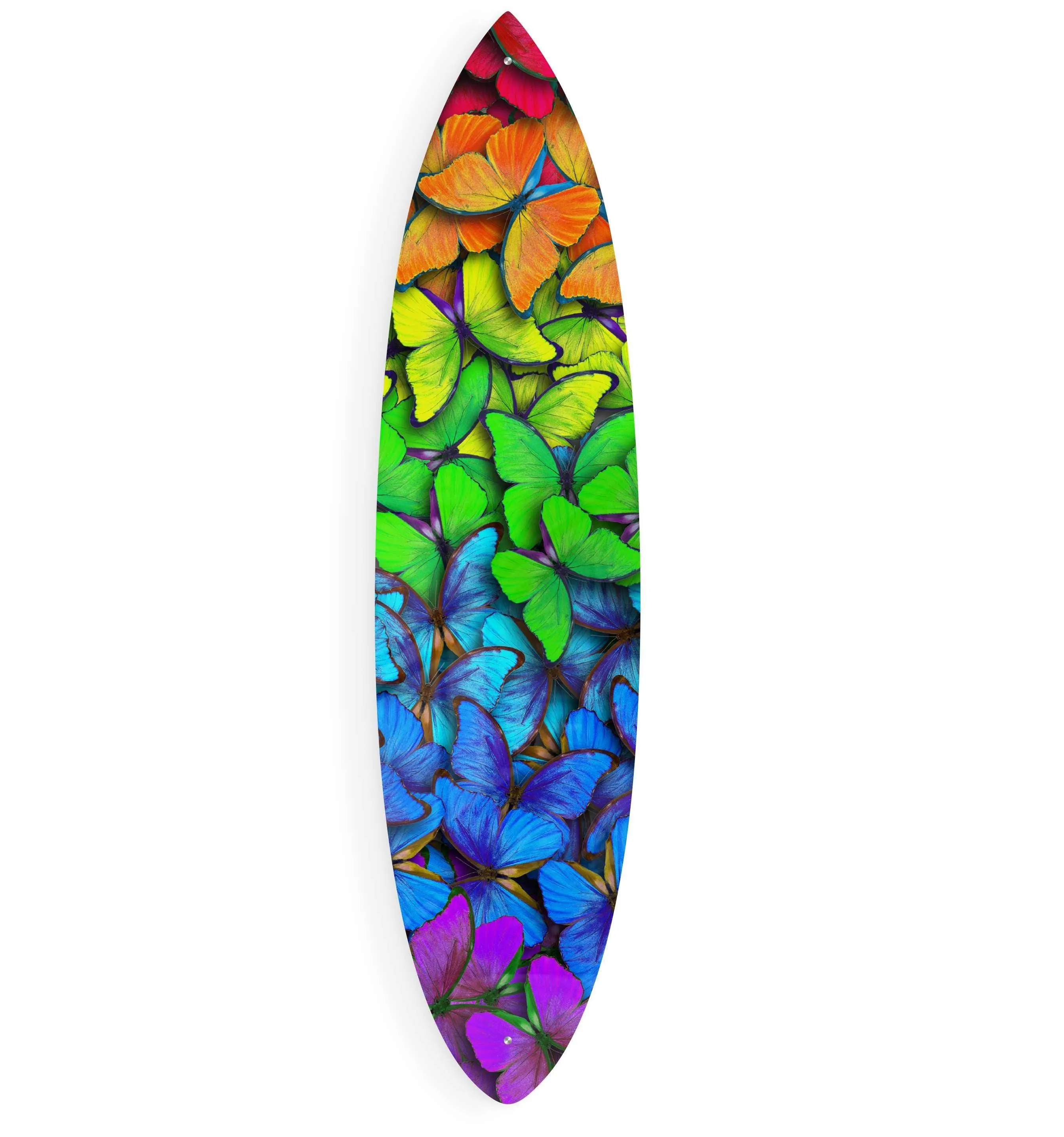 Colorful Butterflies Acrylic Surfboard Wall Art