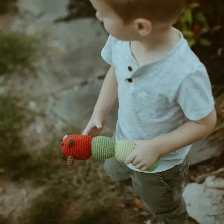 Colorful Caterpillar Rattle