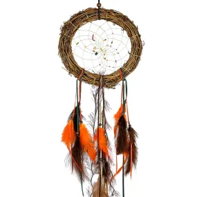 Fall Gemstone & Twig Dreamcatcher 6"