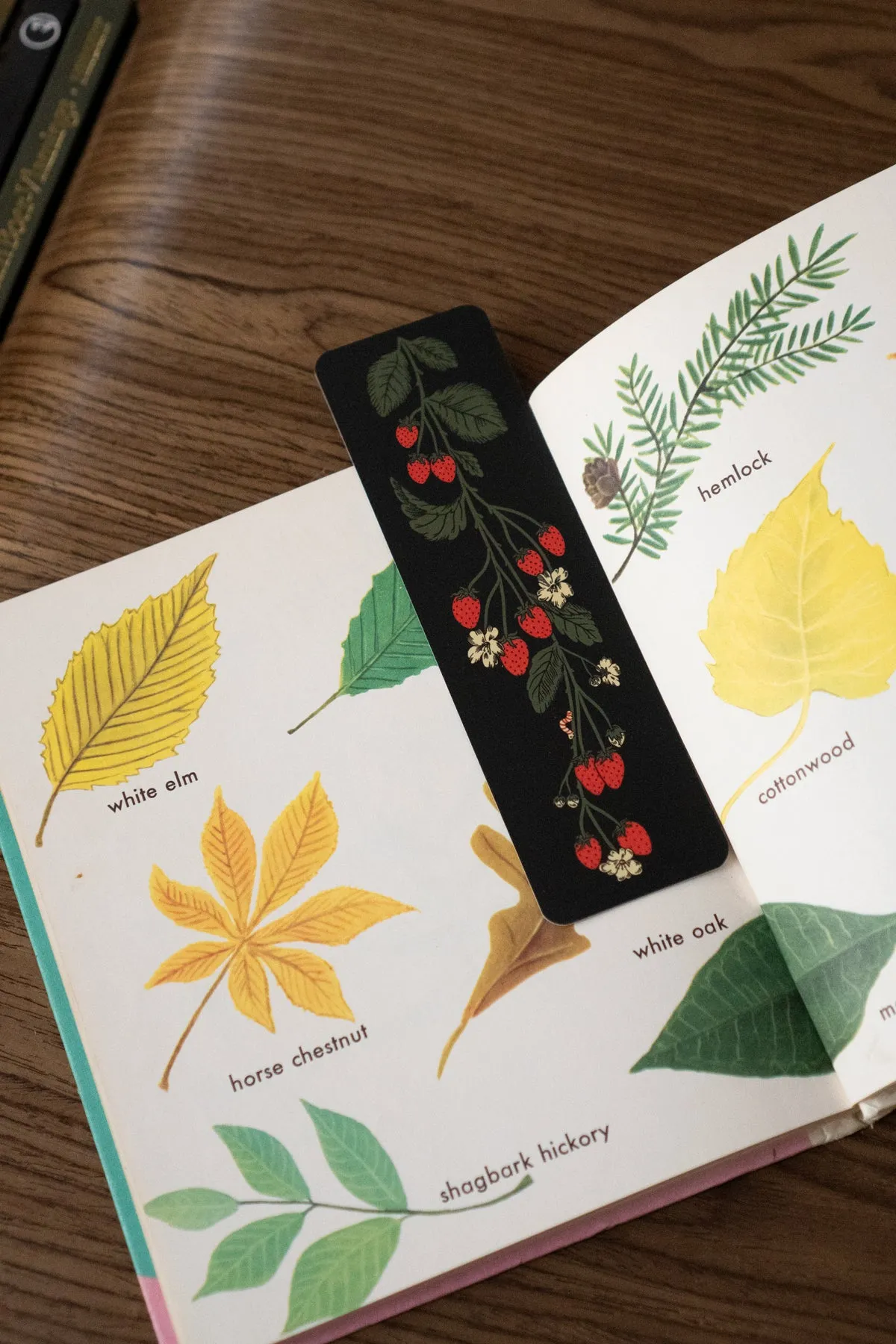 Strawberry Runner Bookmark